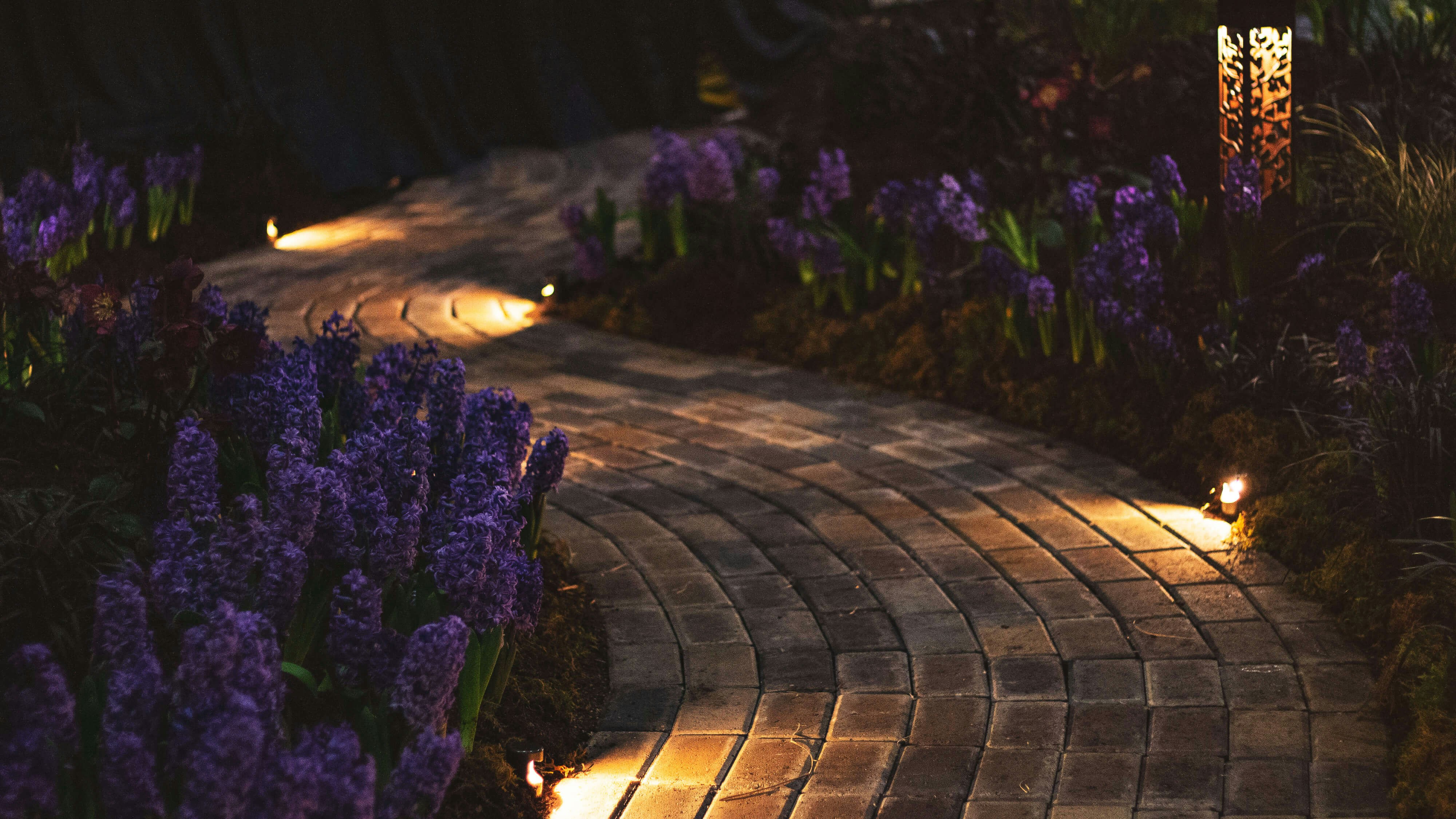 A front walk lit end to end, without a single glare spot